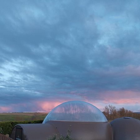 Cosmoveros - Hotel Burbuja Pedraza Exteriör bild